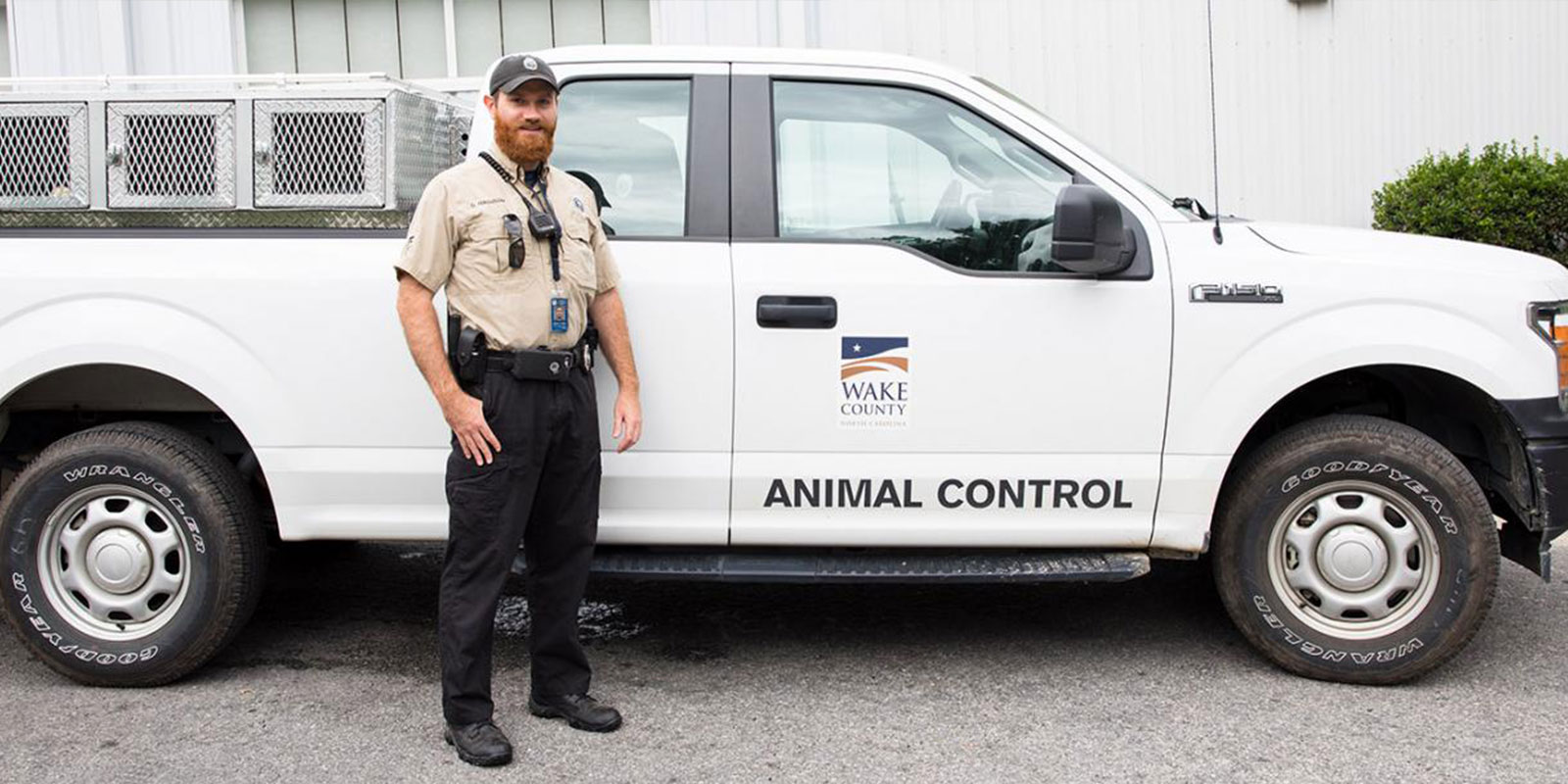 How Do Animal Control Services Work? — Spartan Animal & Pest Control