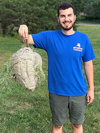 Spartan Animal & Pest Control — Corey Davis holding wasps nest after Massachusetts wasp removal