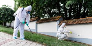 pest control professionals servicing a home