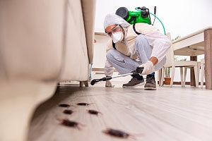pest control specialist servicing the inside of a home