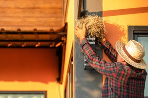 house owner removing the bird nest form house wall lamp