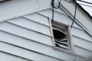 broken attic window entry point for bats and birds