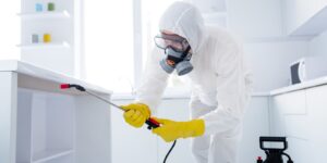 Pest control specialist spraying insecticides in the room