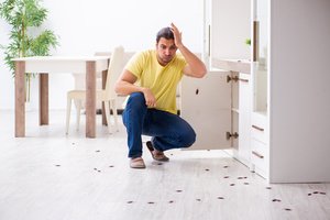 A man is worried over the spread of cockroaches in his house