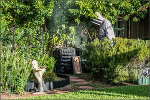 Two bee control professionals removing bees by smoke in a garden