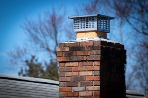 A house chimney protected from animals