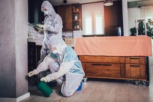 Two pest control professionals working in a house