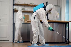 A pest control team removing bee infestation from a room