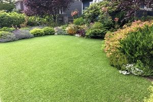 A clean garden of a house