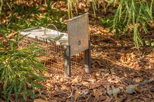 An animal trap to remove a sunk