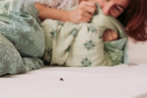 woman in bedroom terrified by common bugs in massachusetts walking on her bed