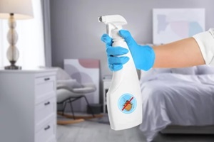 woman with anti bed bug spray in bedroom, closeup