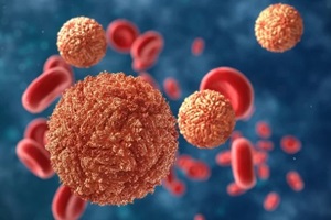 zika virus in blood with red blood cells