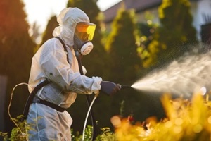 disinfector in protective suit processes territory of garden plot sprays poison from summer insects