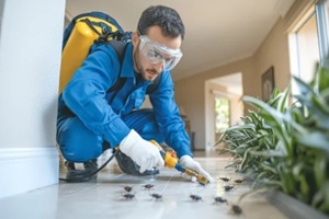 pest control worker in blue uniform spraying insecticide on cockroaches