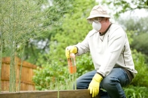 Gardener Spraying Pesticide in Protective Gear
