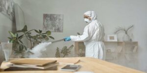 Person Spraying Pest Control Chemical Indoor Spaces