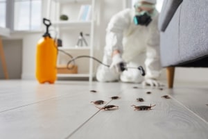 Pest Control Guy Using Spray to Eliminate Bugs from House