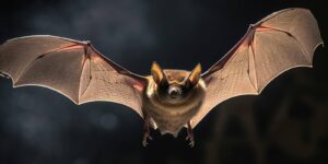 bat animals are flying